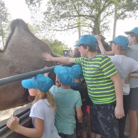 [img-20220815-133954.jpeg]