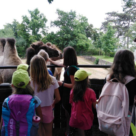 [img-20210726-wa0053.jpeg]