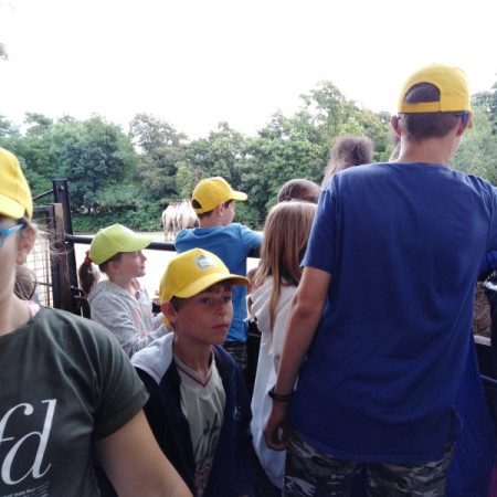 [img-20210807-wa0027.jpeg]