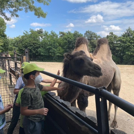 [img-20210723-wa0025.jpeg]