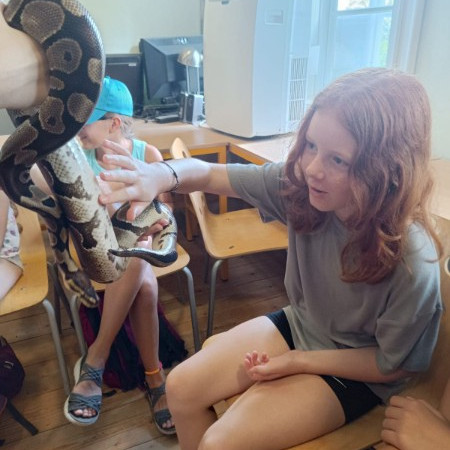 [img-20240823-wa0062.jpeg]