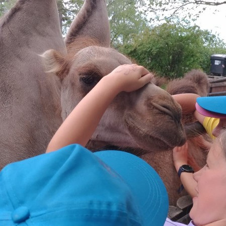 [img-20220714-wa0065.jpeg]