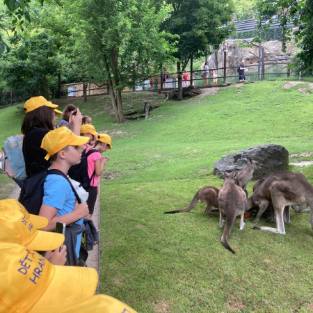 [img-20240716-wa0082.jpeg]