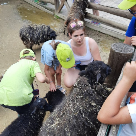 [20210716-151235.jpeg]