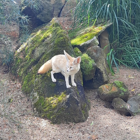 [20210715-093741.jpeg]