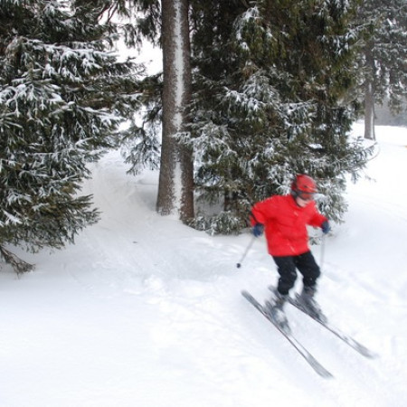 [dsc-0746-resize.jpeg]