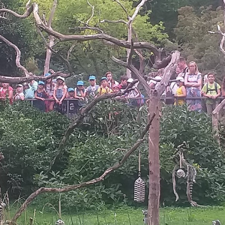 [299154493-769742010740541-5754838995819665376-n.jpeg]