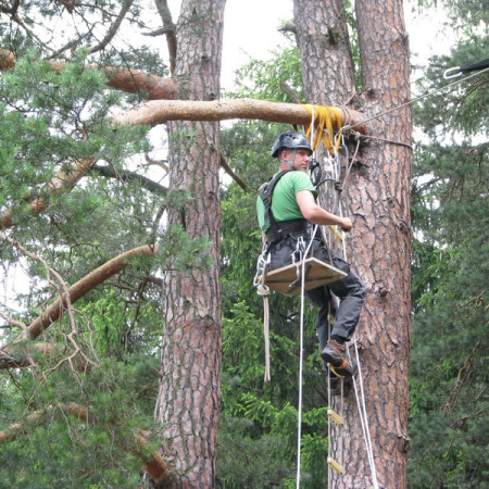 [lana-104-resize.jpeg]