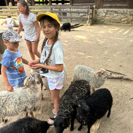 [img-20240718-wa0175.jpeg]