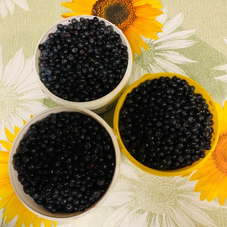 [6c15bb4a-151e-4b54-8774-dada845ba597.jpeg]