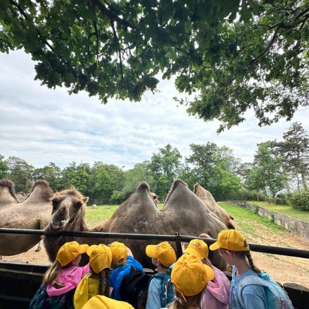 [img-20240716-wa0011.jpeg]