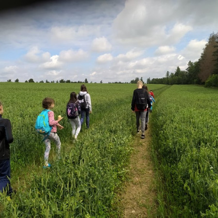 [200597415-381844829974363-7650258977373951509-n.jpeg]