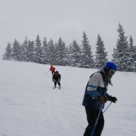 [dsc-0716-resize.jpeg]