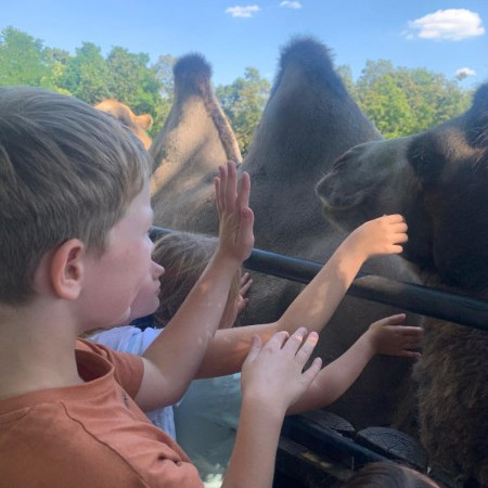 [photo-2024-08-06-19-03-09-5.jpeg]