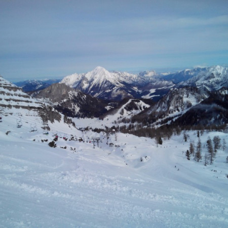 [img-20160302-145920.jpeg]