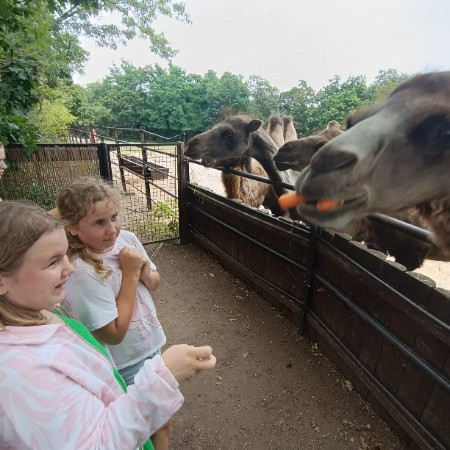 [img-20240710-132642.jpeg]