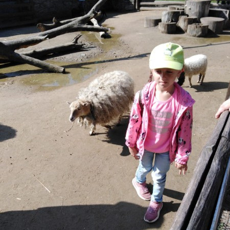 [img-20210807-wa0081.jpeg]