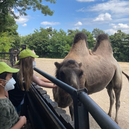 [img-20210723-wa0022.jpeg]