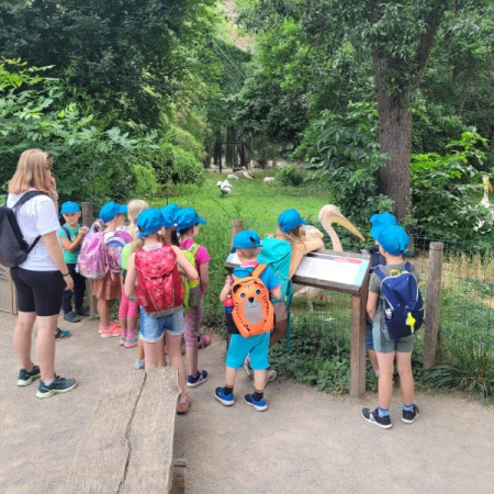 [img-20230724-wa0007-2-.jpeg]