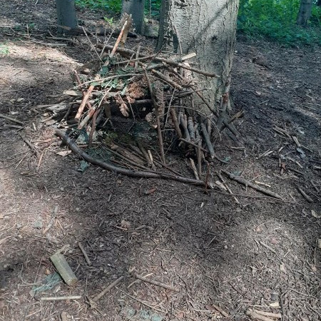 [117643492-3098280726955247-8066021338414009908-n.jpeg]