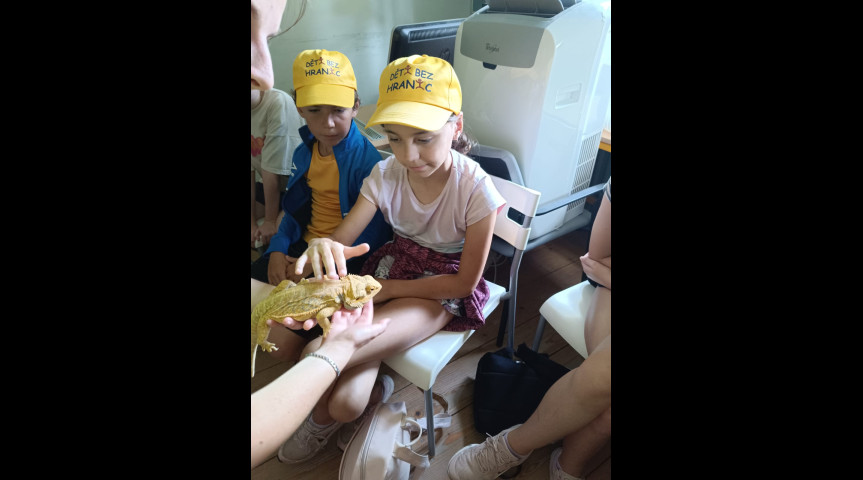 Příměstský tábor v zoo 1 2026