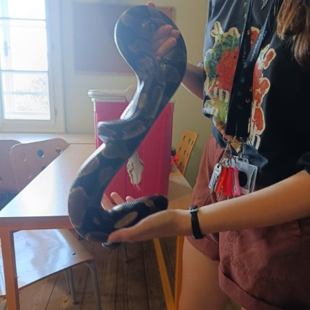 [img-20240823-wa0038.jpeg]