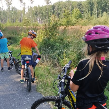 [photo-2020-08-08-10-03-31-2-.jpeg]