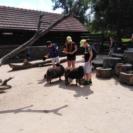 [img-20210726-wa0021.jpeg]