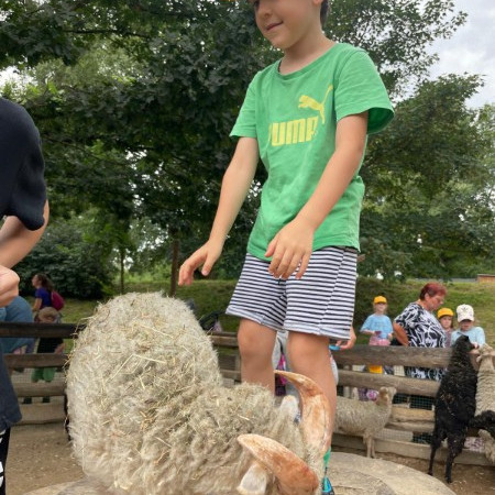 [img-20240701-wa0013.jpeg]