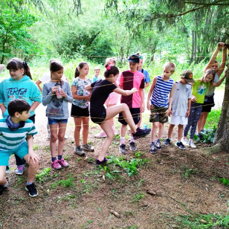 [img-20200703-164442.jpeg]