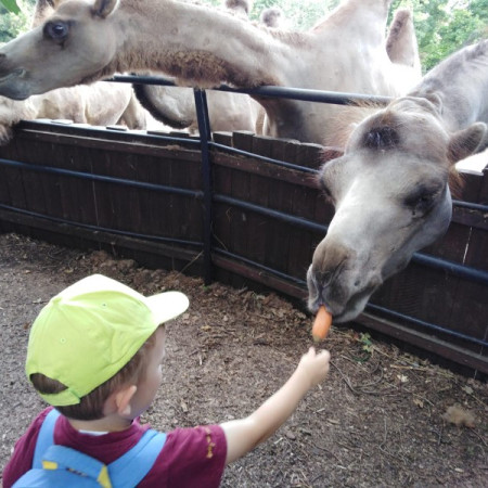 [img-20210726-wa0062.jpeg]