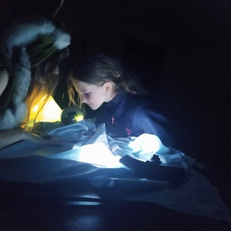 [209439381-935294623710463-5658172091330442124-n.jpeg]