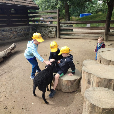 [365268983-10220252190489322-2105332128752119938-n.jpeg]