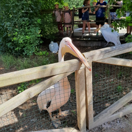 [20210716-103404-0-.jpeg]