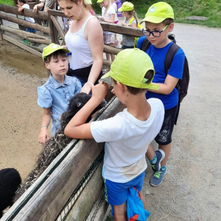 [20210716-151244.jpeg]