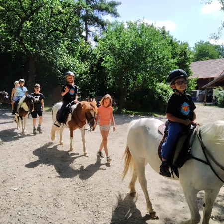 [5.-den-3.7-15-.jpeg]