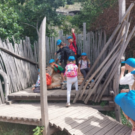 [photo-2023-08-10-21-37-45.jpeg]