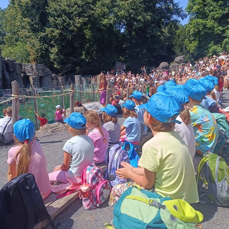 Příměstský tábor v zoo 5 2024
