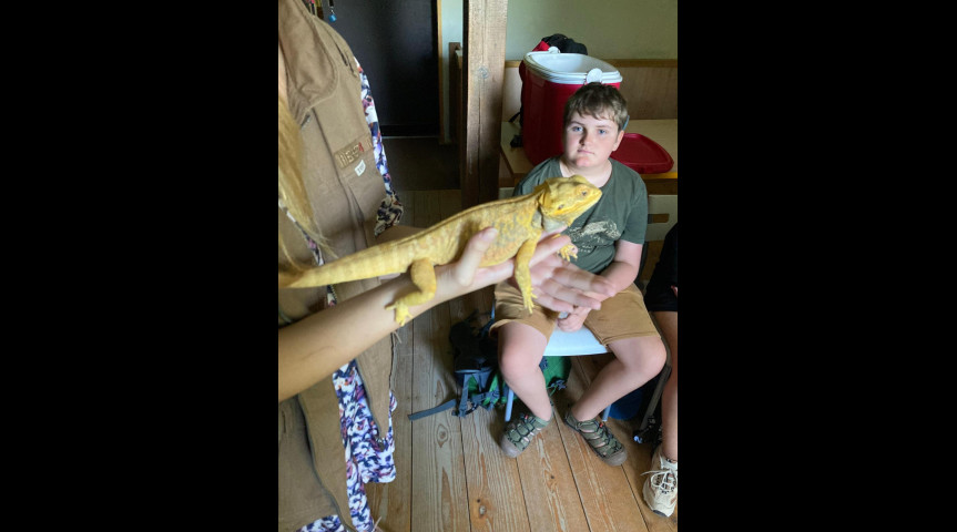 Příměstský tábor v zoo 1 2026