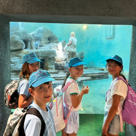 [img-20240729-wa0076.jpeg]