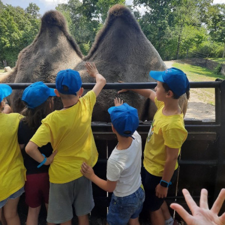 [20220810-133341.jpeg]