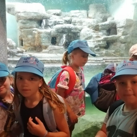 [img-20220815-wa0005.jpeg]