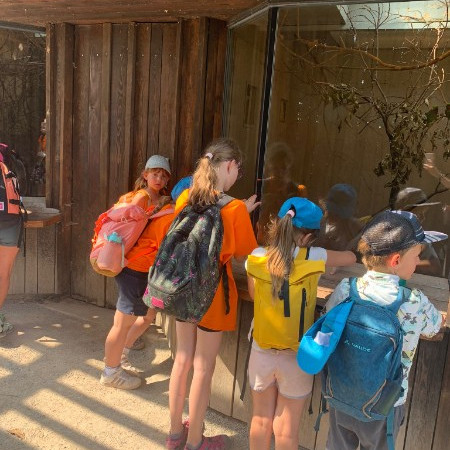 [img-20230711-wa0059.jpeg]