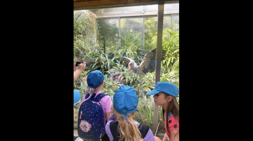 Příměstský tábor v zoo 1 2026