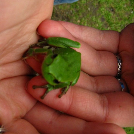 [img-7109-resize.jpeg]