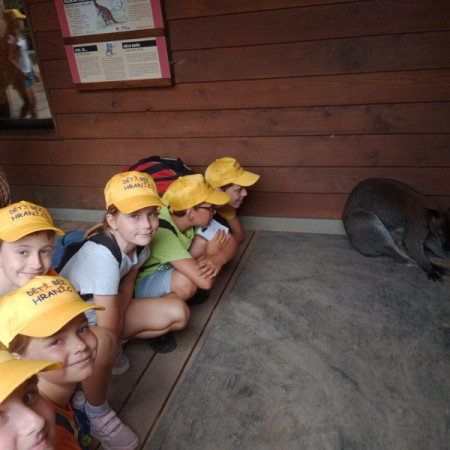 [img-20230821-wa0025.jpeg]