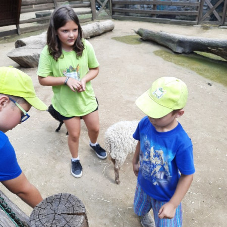 [20210716-151257.jpeg]