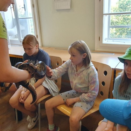 [img-20240801-wa0061.jpeg]