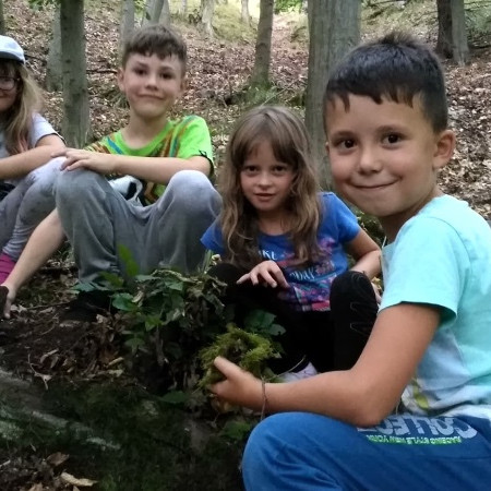 [38072217-1911971625528898-4487384553870065664-n.jpeg]