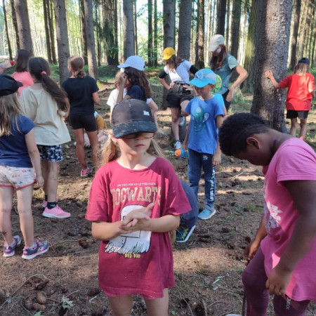 [img-20220804-161809.jpeg]